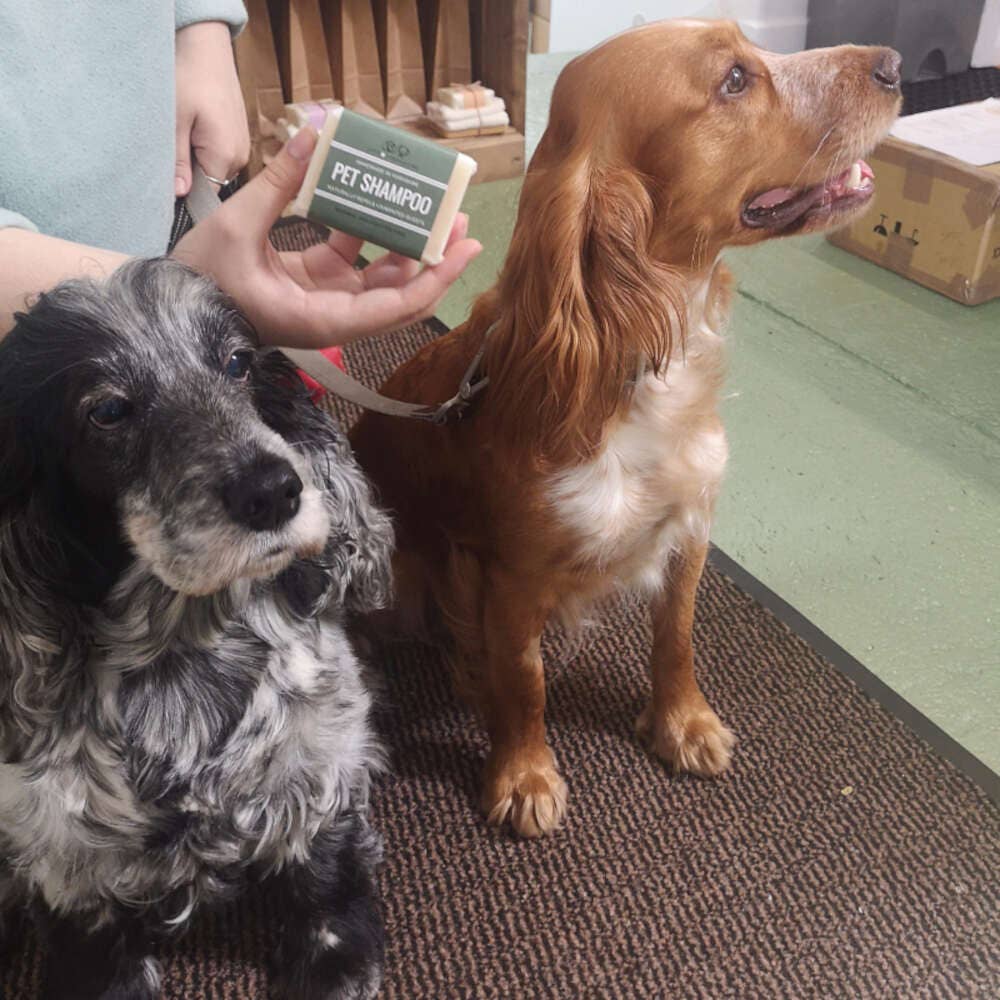Natural Pet Shampoo Bar with Lavender, Lemongrass and Neem Oil