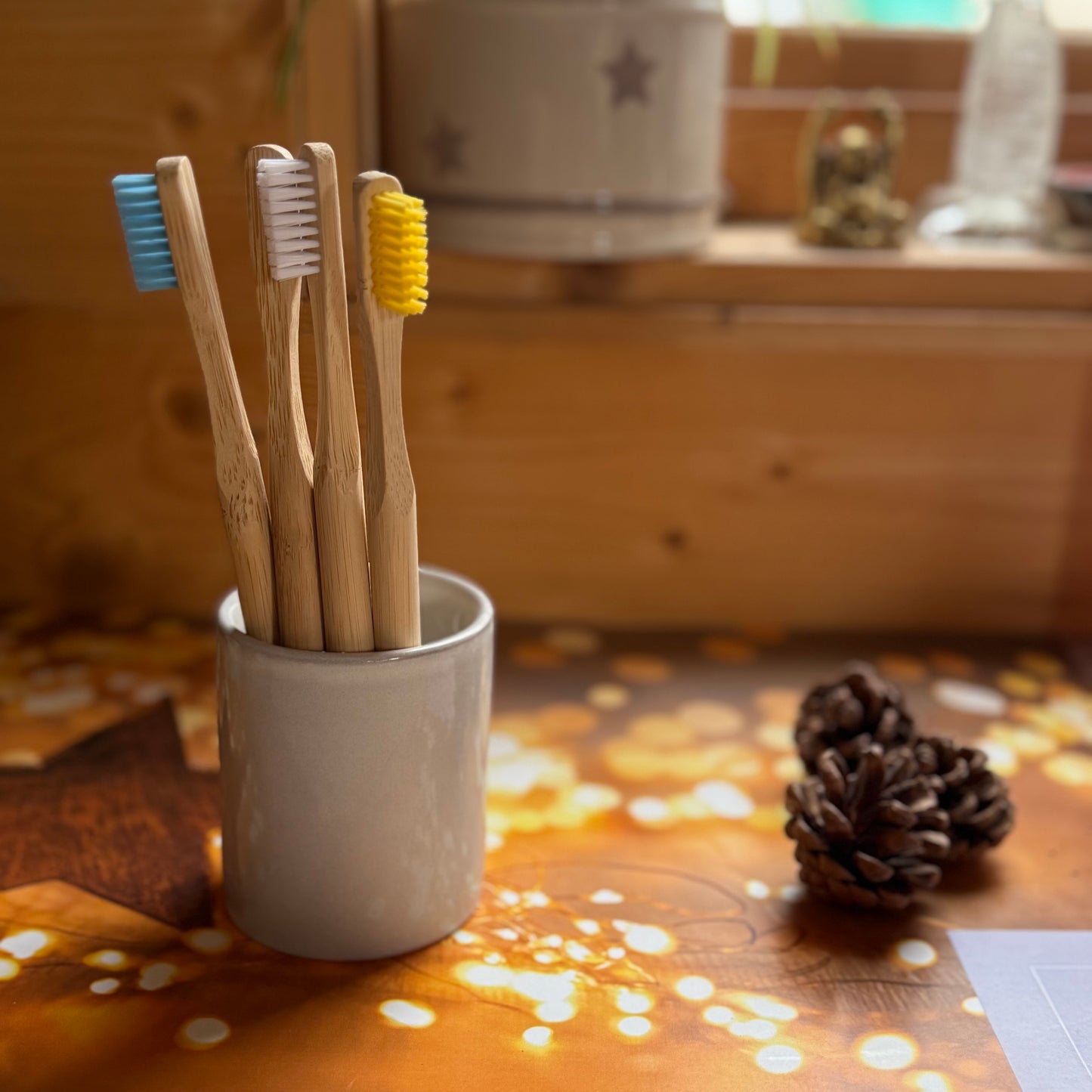 Family Set of 6 Stylist Bamboo Toothbrushes each with a separate coloured handle for easy identification