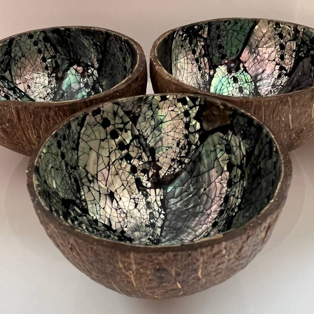 Coconut Shell Bowl with Abalone Inlay
