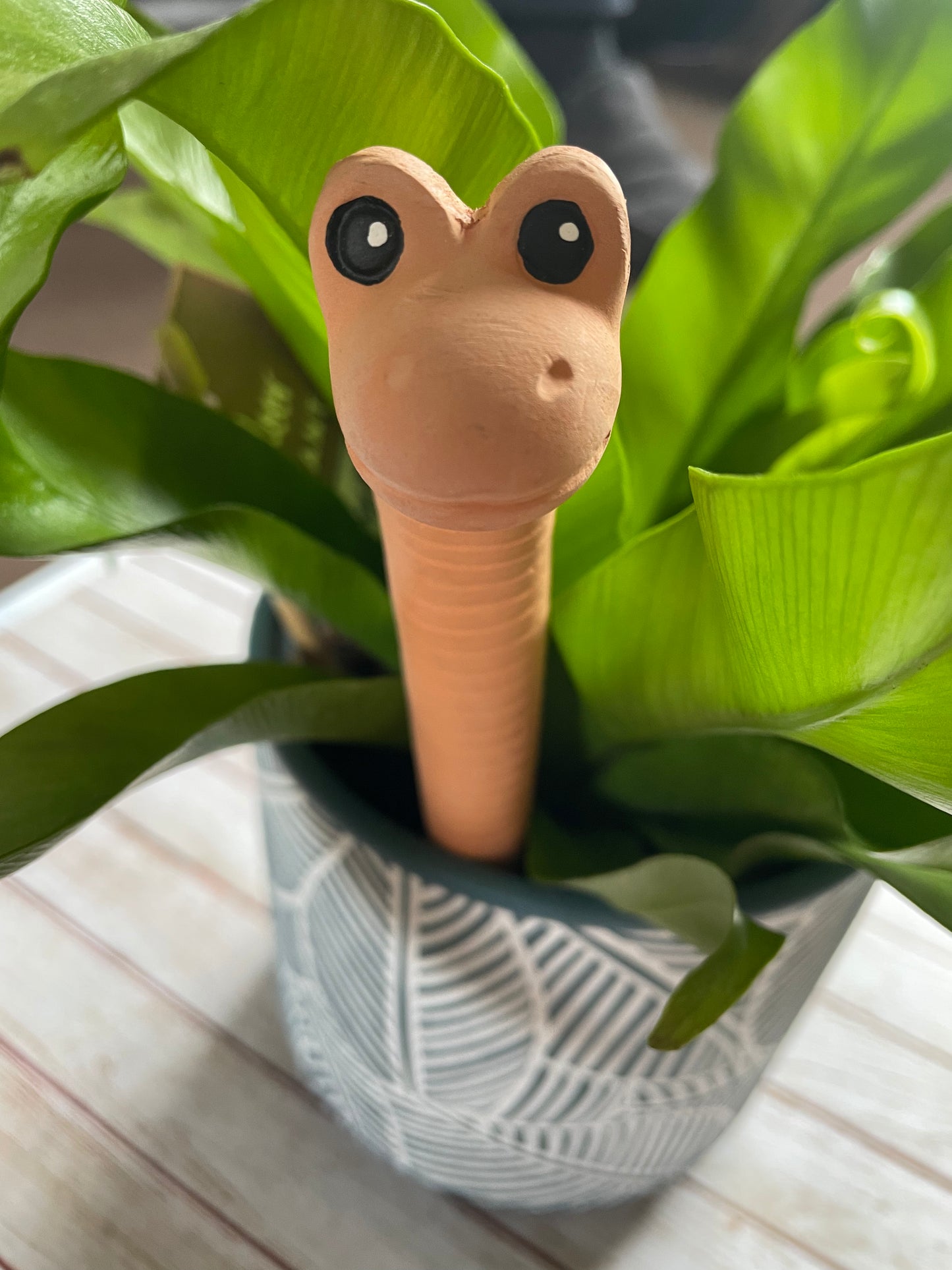 Willy the Worm Water Sensor, Gardeners Fun Gift, Plant Lovers Gift, Houseplant Gift