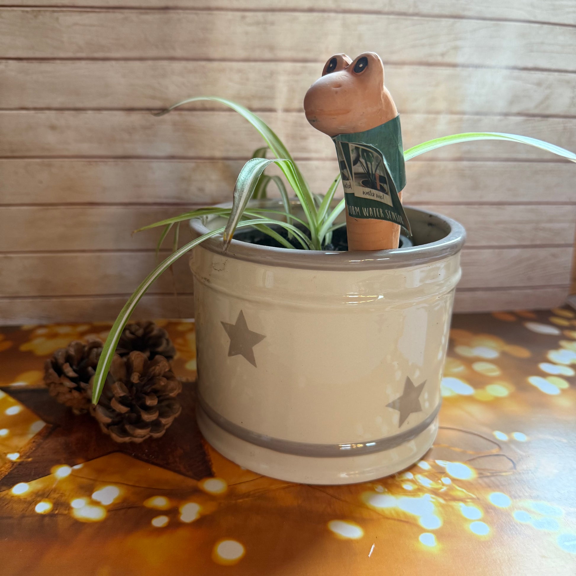 house plant water sensor Willy the Worm Water Sensor, Gardeners Fun Gift, Plant Lovers Gift, Ho – Potter and Hare Limited