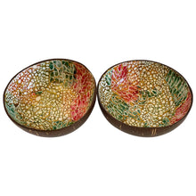 Load image into Gallery viewer, Hand-Painted Coconut Bowls - One Bowl
