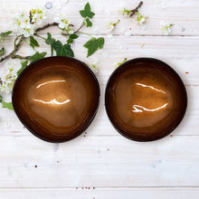 Load image into Gallery viewer, Hand-Painted Coconut Bowls - One Bowl
