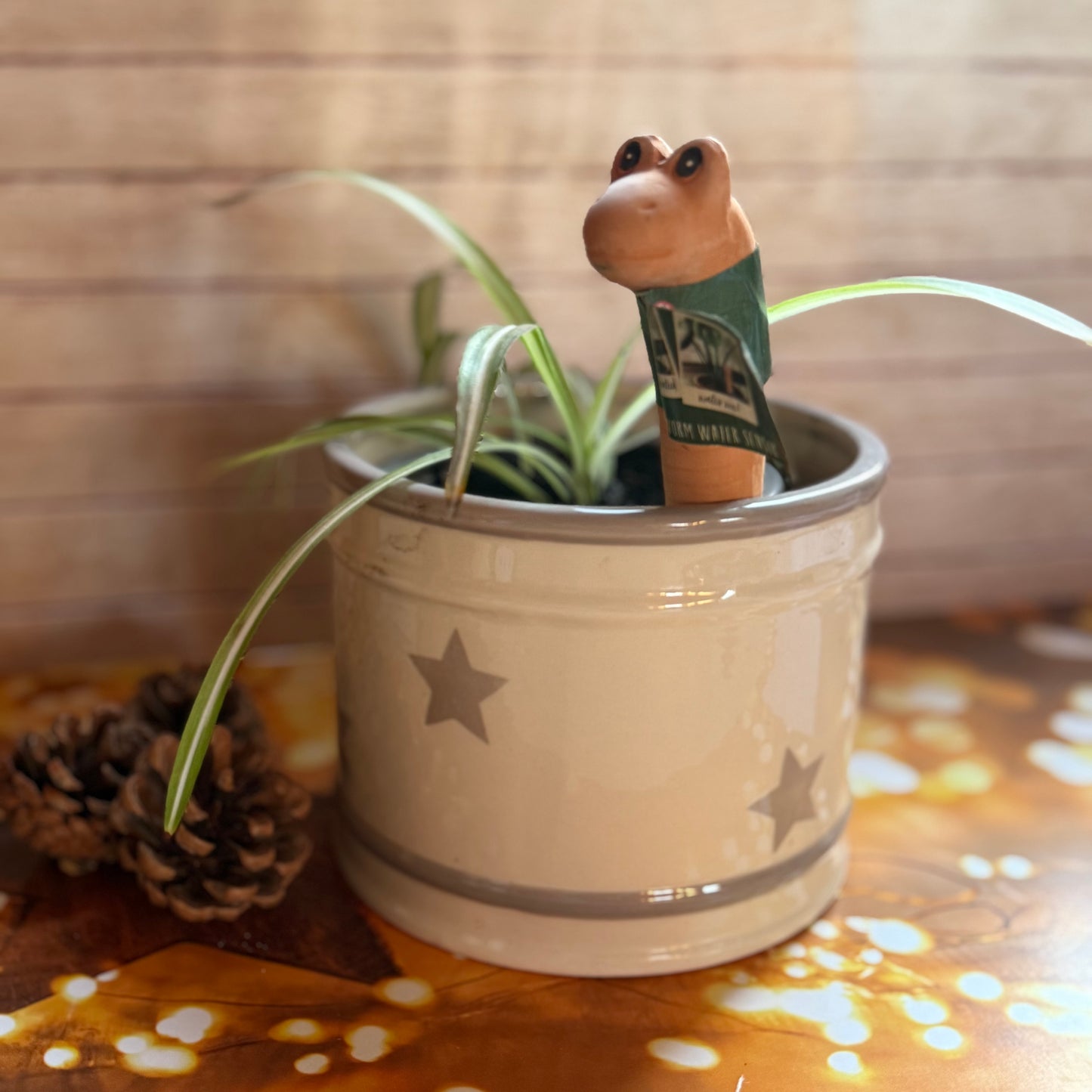 Willy the Worm Water Sensor, Gardeners Fun Gift, Plant Lovers Gift, Houseplant Gift