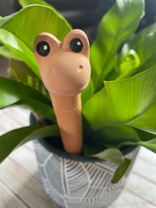 Willy the Worm Water Sensor, Gardeners Fun Gift, Plant Lovers Gift, Houseplant Gift