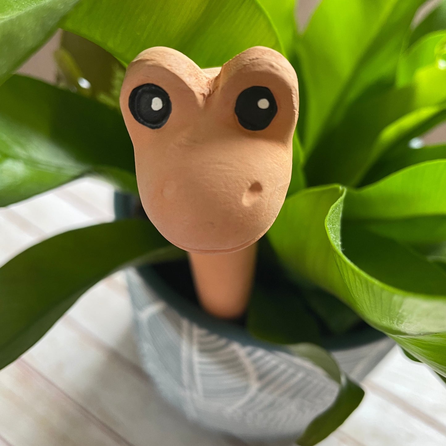 Willy the Worm Water Sensor, Gardeners Fun Gift, Plant Lovers Gift, Houseplant Gift